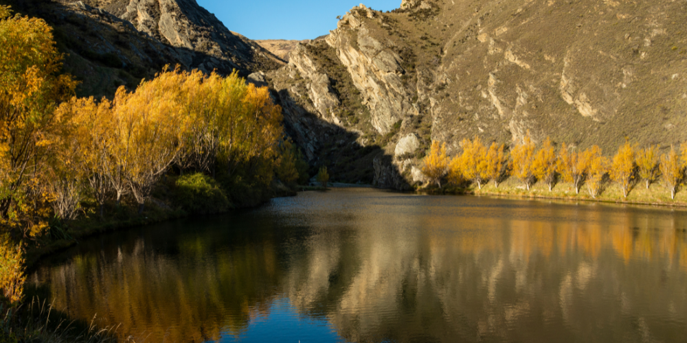 From Wine to Bungy: Unleashing Adventure in Central Otago’s Summer Wonderland