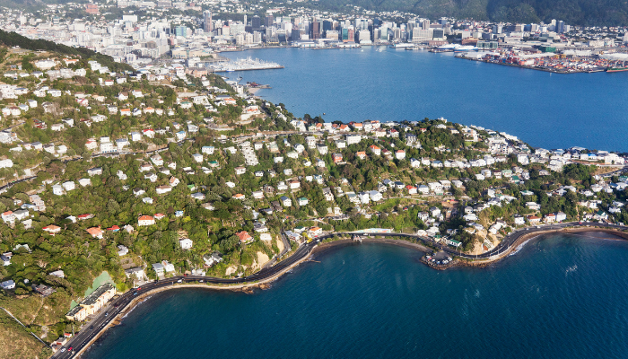 Discovering Wellington, New Zealand: A Capital Full of Charm