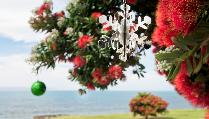 Barbecues and Blooms: A Kiwi Christmas
