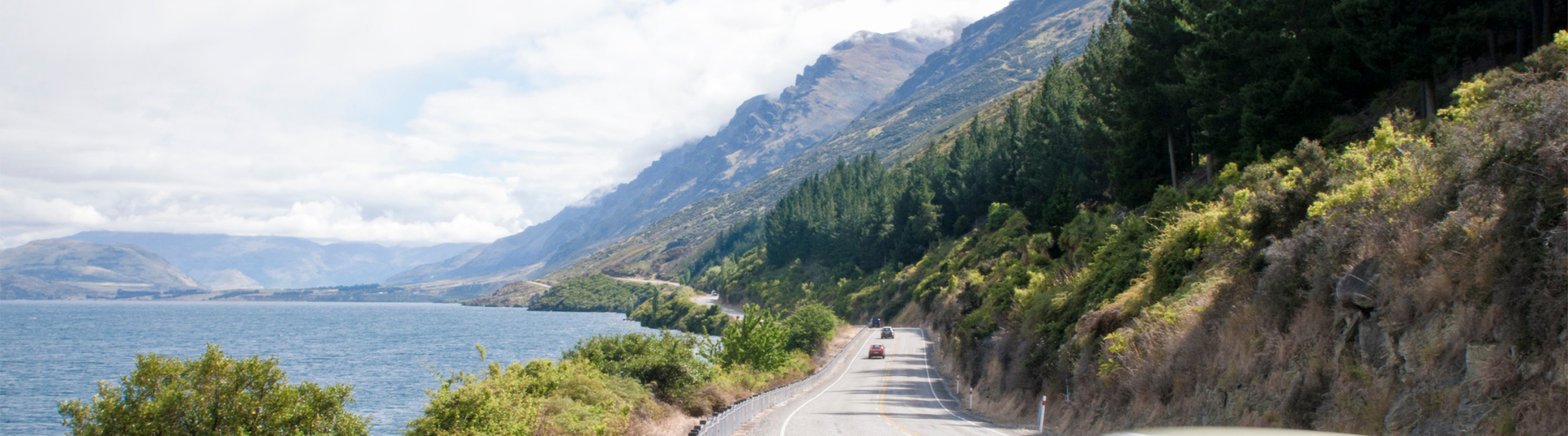Immigrant’s Guide to Driving in New Zealand: Licence, Rules & Support