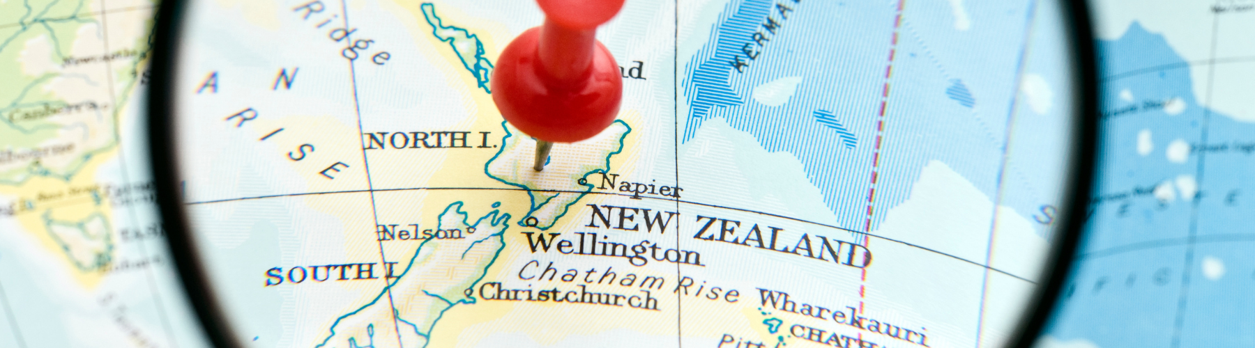 Choosing an Immigration Adviser: 5 Things to Watch Out For